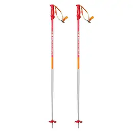 Volkl Men's Phantastick 2 Ski Poles