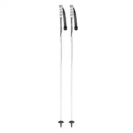 Swix Excalibur Ski Poles