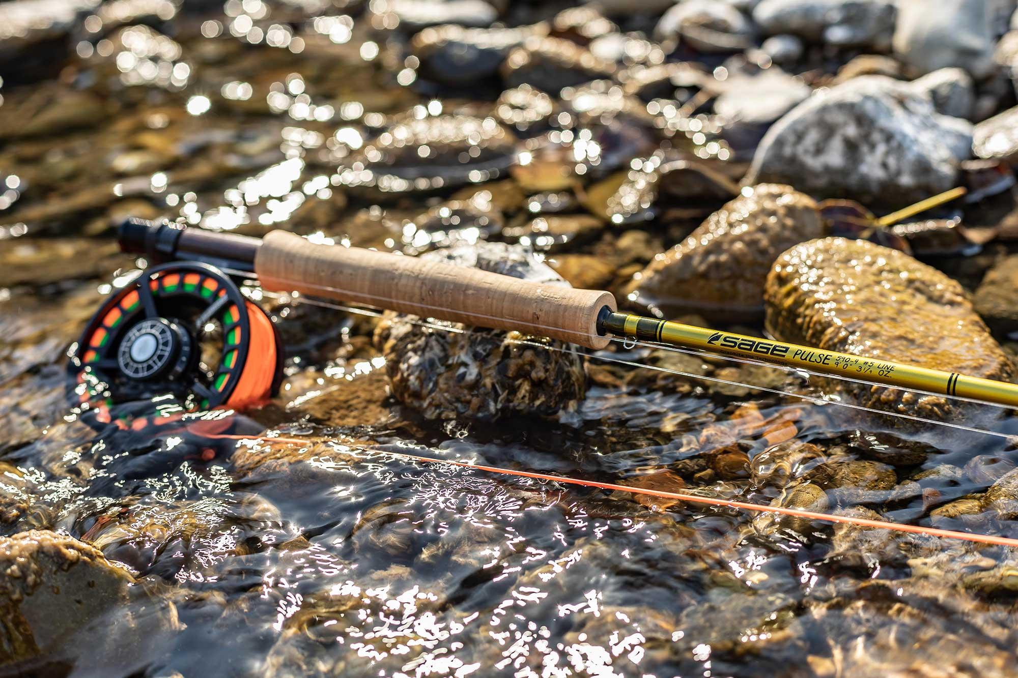 Sage Fly Fishing PULSE Fly Rod 