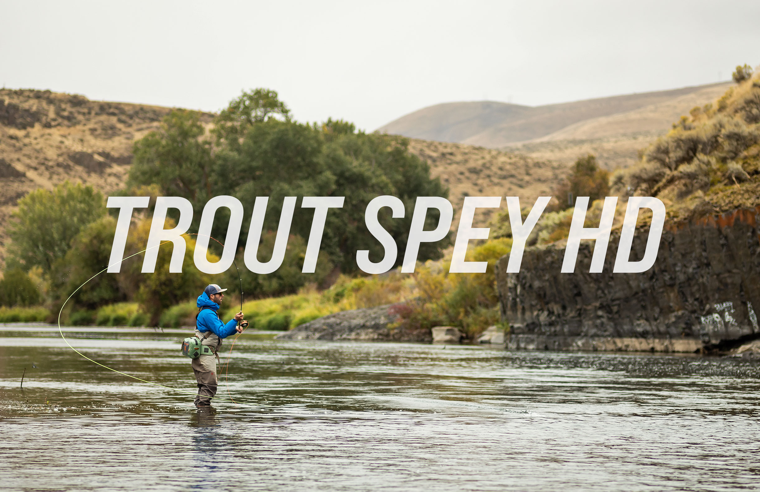 sage one trout spey 3110 4 review