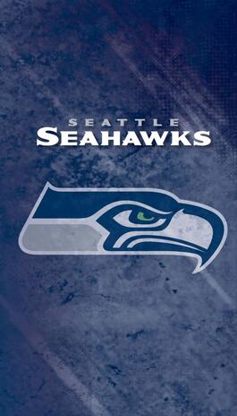 image Seattle Seahawks Password Journal