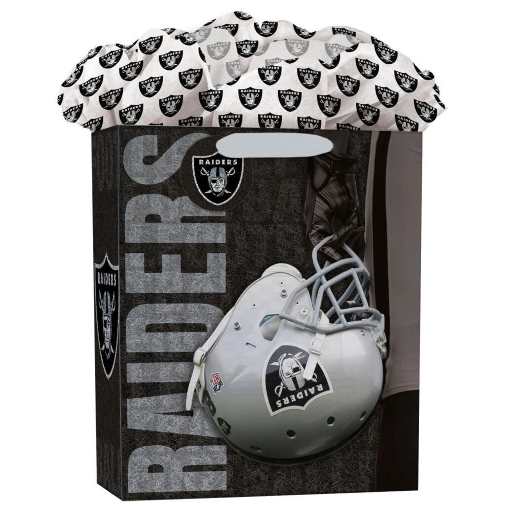 image Raiders (Large) Gogo Gift Bag