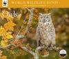 image Owls 2022 Wall Calendar
