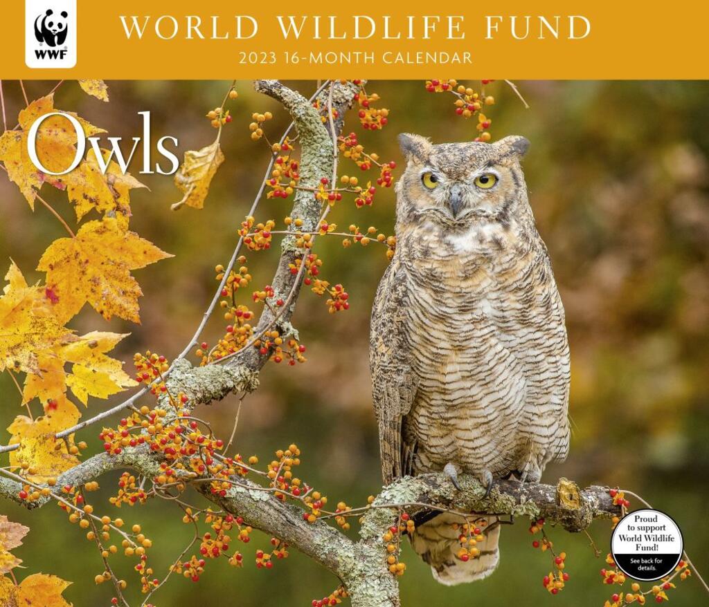 image Owls 2022 Wall Calendar
