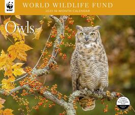 image Owls 2022 Wall Calendar