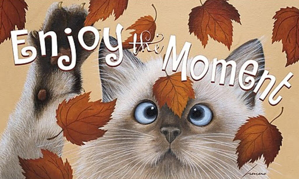 image Catching Leaves Doormat