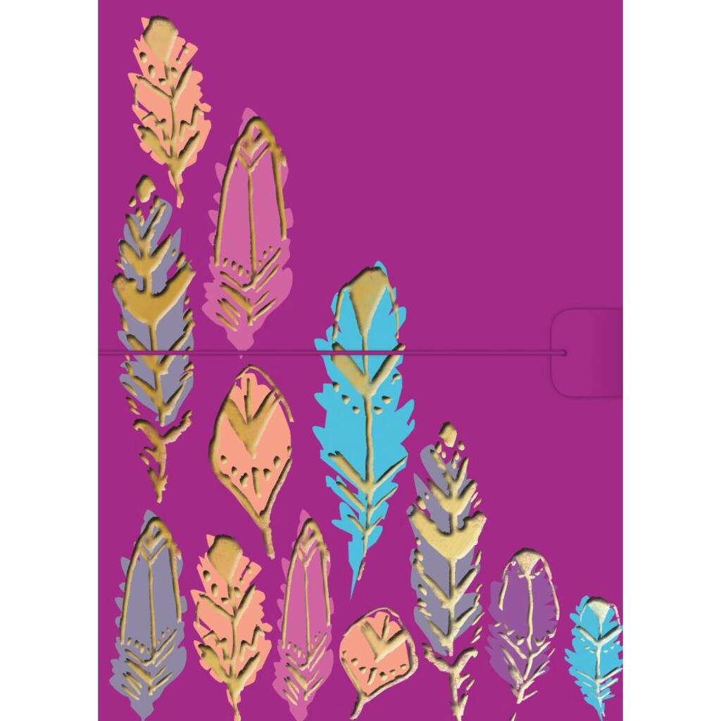 image Barbarian Radiant Feathers Journal