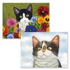 image American Cat Assorted Boxed Note Cards