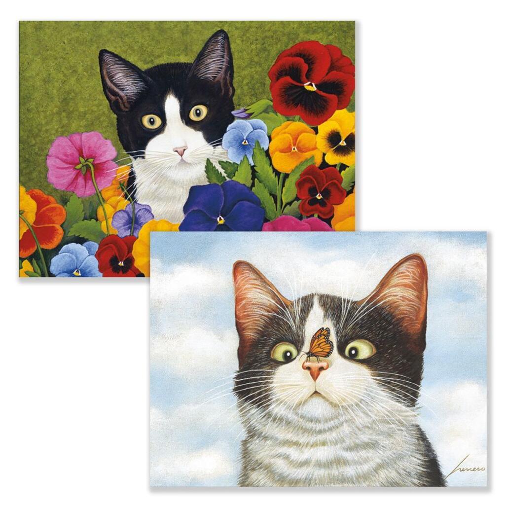 image American Cat Assorted Boxed Note Cards