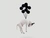 image Jimmy The Bull Balloon Boxed Note Cards