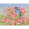 image Bluebird of Happiness 5.25" x 4" Blank Boxed Cards