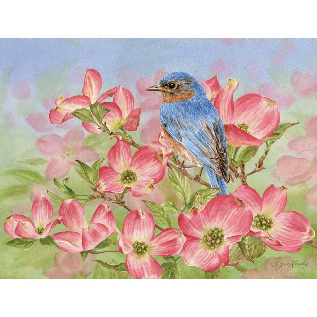 image Bluebird of Happiness 5.25" x 4" Blank Boxed Cards