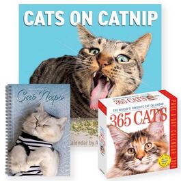 image Cat Lovers 2024 Calendar Bundle