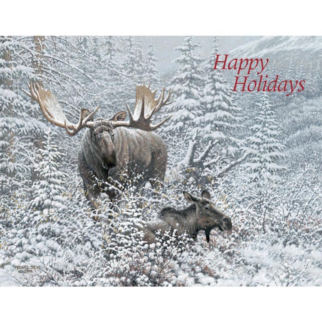 image Winter Wonder Moose Boxed Christmas Cards