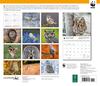 image Owls 2022 Wall Calendar