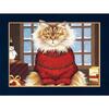 image American Cat Special Edition Wall Calendar