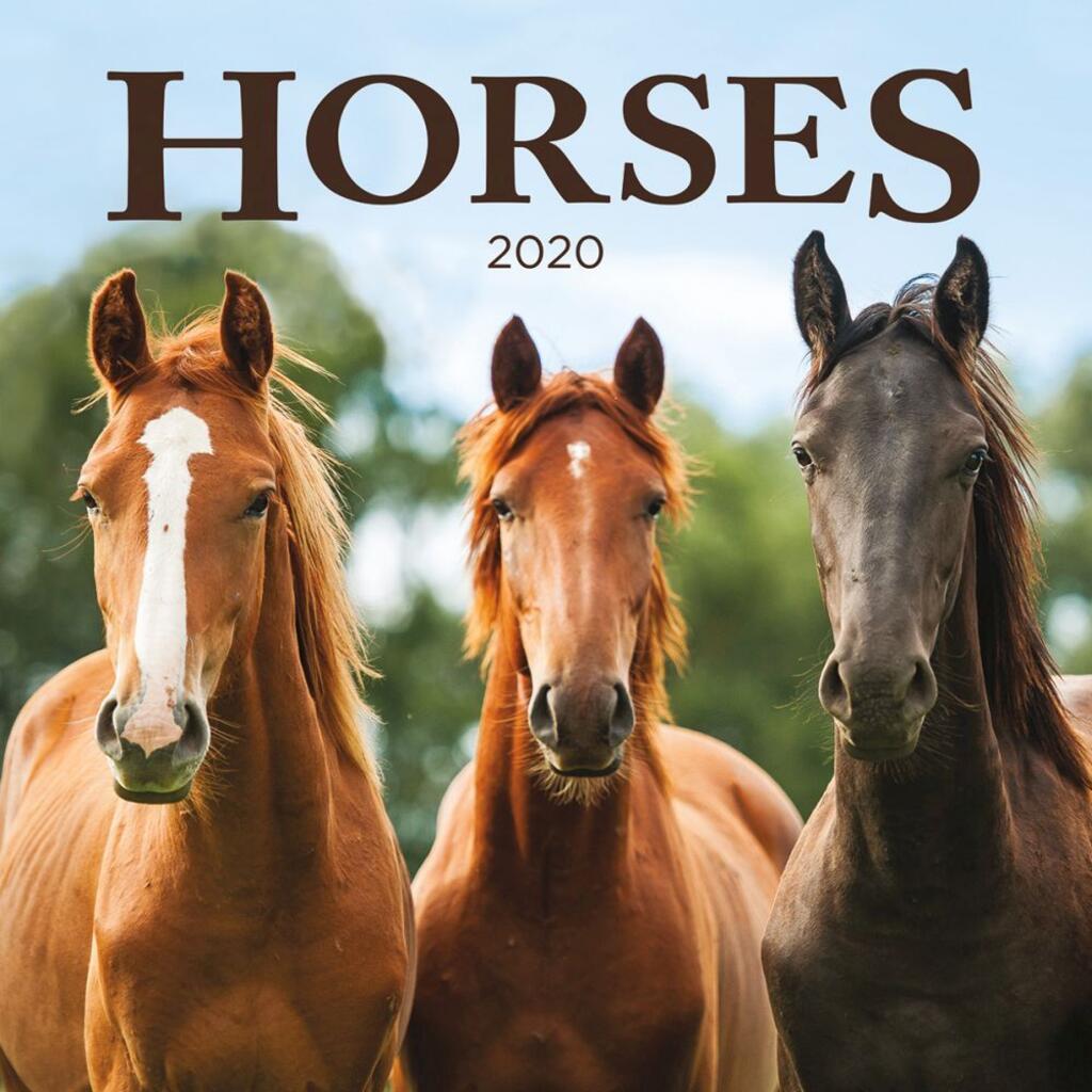 image Horses Wall Calendar
