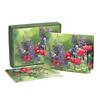 image Flavors Of Summer 4" x 5" Blank Assorted Boxed Note Cards