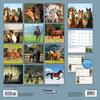 image Horses Wall Calendar