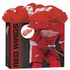 image Detroit Red Wings Medium Gogo Gift Bag