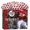 image Wisconsin Badgers Gift Bag
