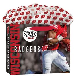 image Wisconsin Badgers Gift Bag