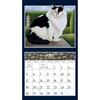 image American Cat Special Edition Wall Calendar