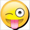 image Emoji Wink Tongue Funky Chunky Magnet