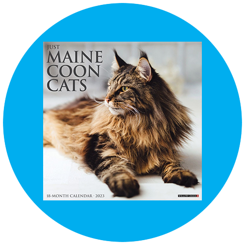 Wall Calendars at Calendars.com