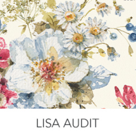 Lisa Audit