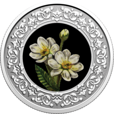 2021 $3 Pure Silver Coin - Floral Emblems of Canada - Northwest Territories: Mountain Avens