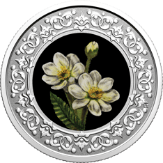 2021 $3 Pure Silver Coin - Floral Emblems of Canada - Northwest Territories: Mountain Avens