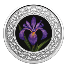 $3 Pure Silver Coin: Floral Emblems of Canada - Quebec’s Blue Flag Iris (2020)