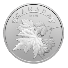 $10 Pure Silver Coin - O Canada! Maple Leaves (2020)