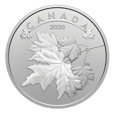 $10 Pure Silver Coin - O Canada! Maple Leaves (2020)