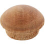 Thumbnail Image for 102800-1