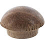 Thumbnail Image for 102803-1