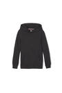 Front view of Pullover Fleece Hooded Sweatshirt opens large image - 1 of 2