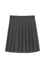 Back View of Pleated Skirt opens large image - 2 of 2