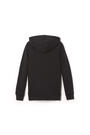 Back View of Pullover Fleece Hooded Sweatshirt opens large image - 2 of 2