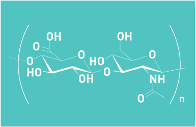 Hyaluronic Acid