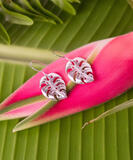 Wyland&reg; Monstera Leaf - Earrings