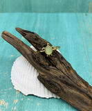 Puravida Gold Sea Glass Turtle - Ring