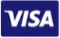 visa card