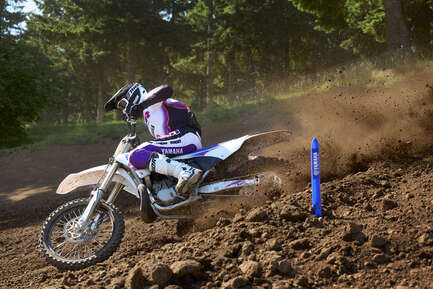 Thumbnail image of gallery image 5