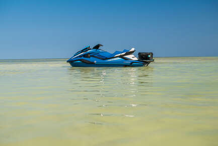 Thumbnail image of gallery image 8