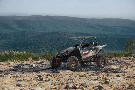 Thumbnail image of gallery image 8