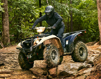 Thumbnail image of gallery image 6