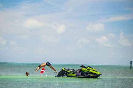 Thumbnail image of gallery image 5