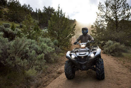 Yamaha Grizzly EPS Camouflage Realtree Edge 2022 en vente à